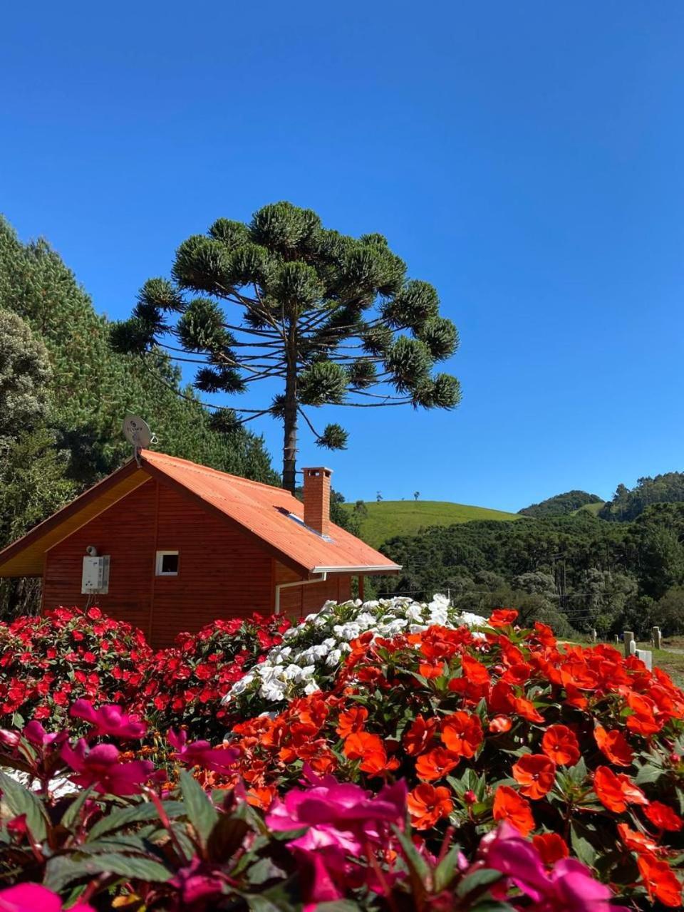 Chales Canto Da Serra Monte Verde  Bagian luar foto